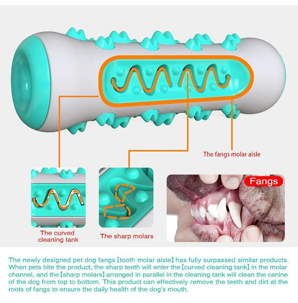 Dental Chew Toy