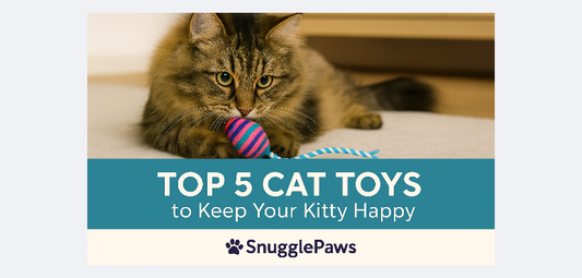 Top 5 Cat Toys to Keep Your Kitty Happy | SnugglePaws