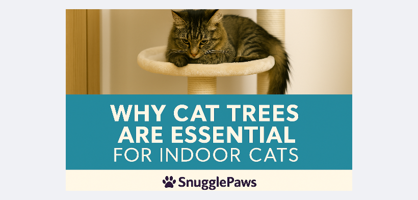 Why Cat Trees Are Essential for Indoor Cats | SnugglePaws