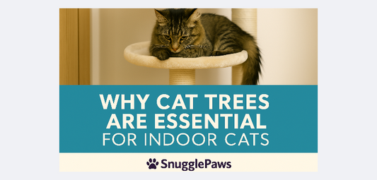 Why Cat Trees Are Essential for Indoor Cats | SnugglePaws