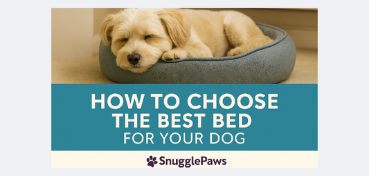 How to Choose the Best Dog Bed | SnugglePaws