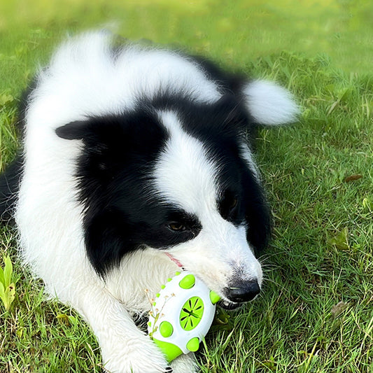 Multi-Functional Hedgehog Dog Chew Toy