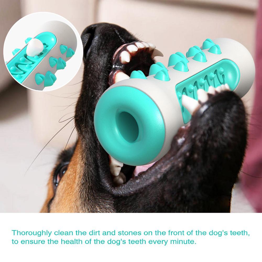 Dental Chew Toy