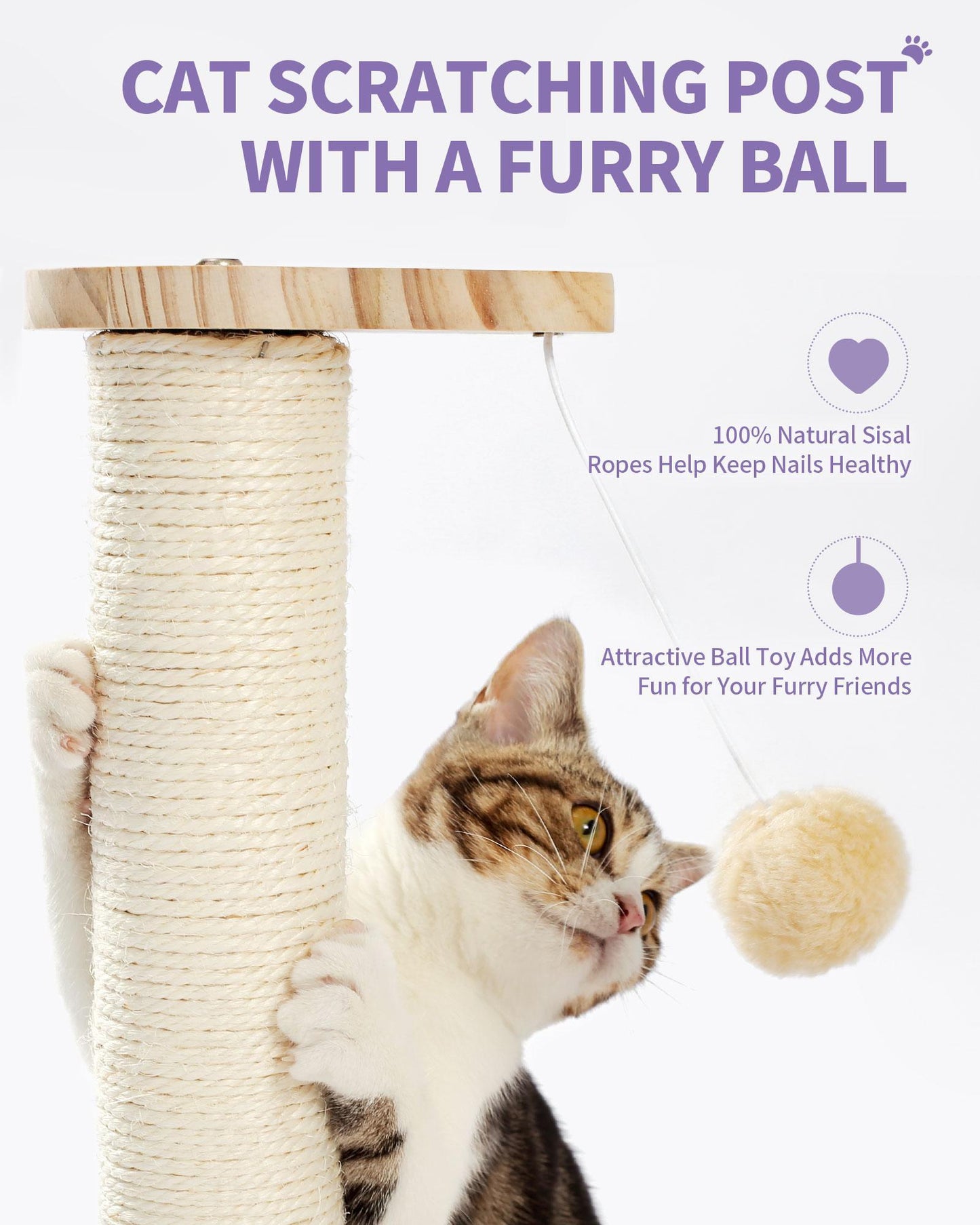 Cat Scratcher with Groomer & Toys