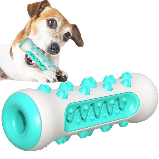 Dental Chew Toy