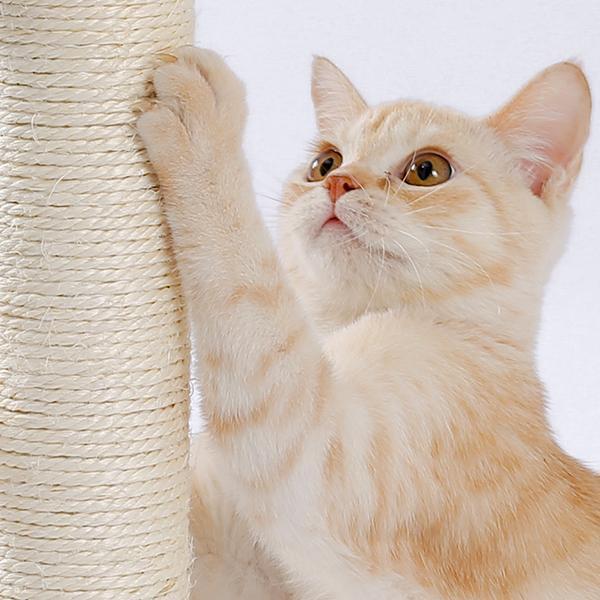 Cat Scratcher with Groomer & Toys