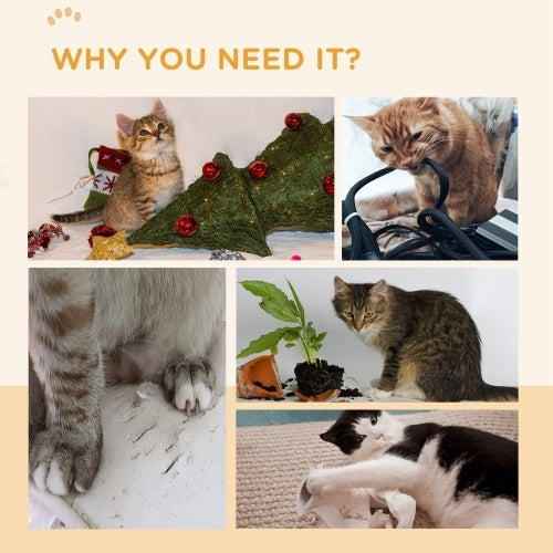 4-Pack Scratching Boards
