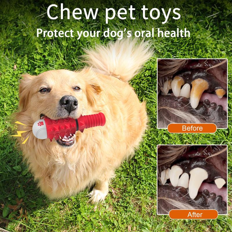Fetch & Chew Toy