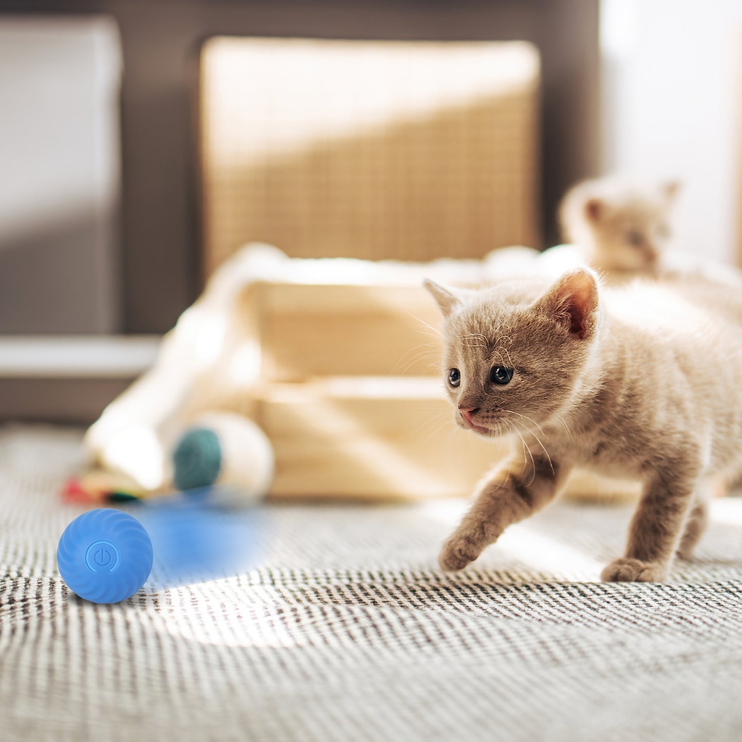 Interactive Cat Toy Ball with Cloth Bag
