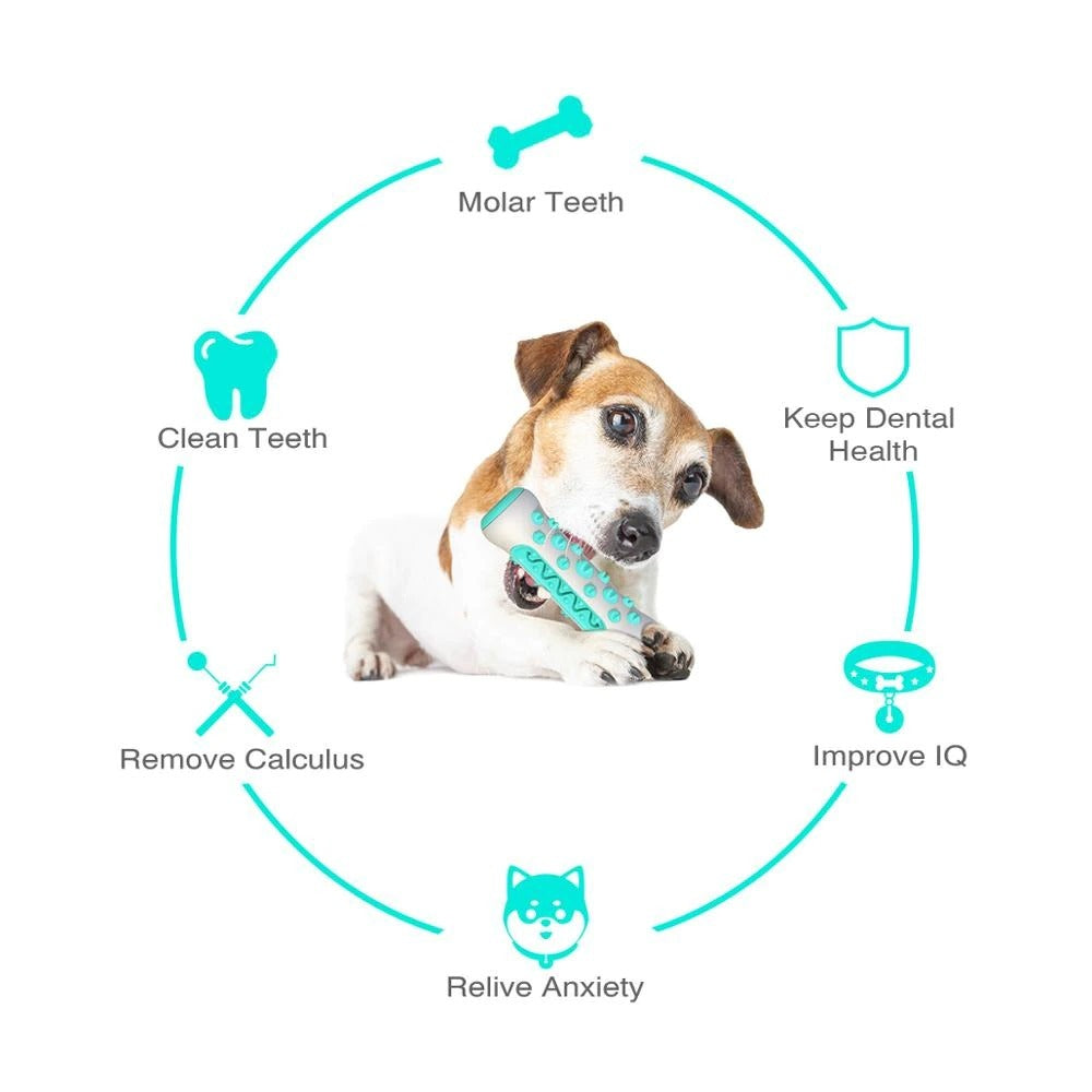 Dental Chew Toy